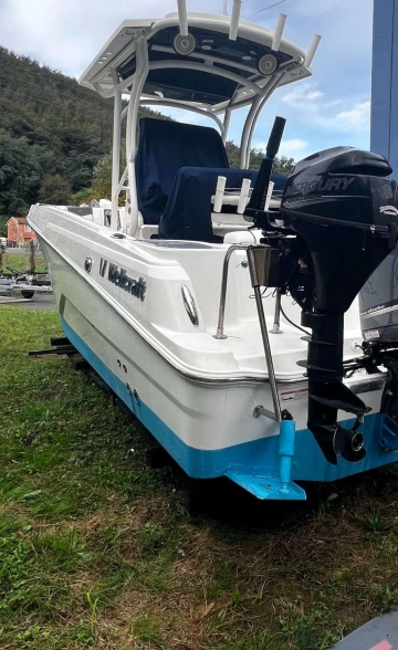 Wellcraft 222 FISHERMAN de segunda mano en venta