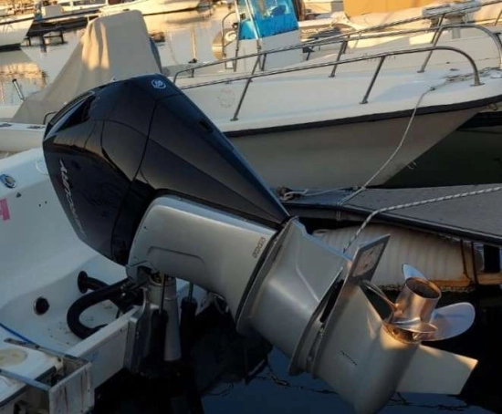Boston Whaler OUTRAGE 240 usata in vendita