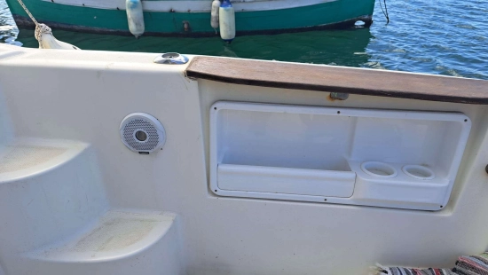 Saver FISH 21 de segunda mano en venta