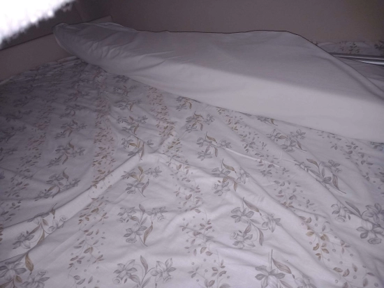 Regal 2750 de segunda mano en venta
