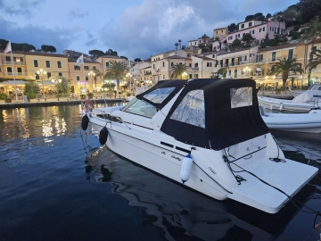 Sea Ray Sundancer 290 usado à venda