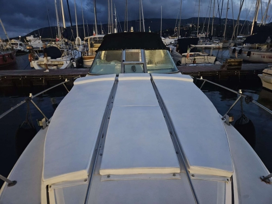 Sea Ray Sundancer 290 usata in vendita