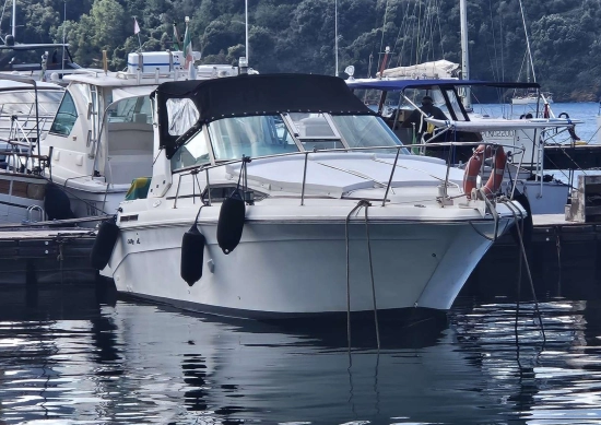 Sea Ray Sundancer 290 usata in vendita