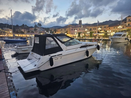 Sea Ray Sundancer 290 usata in vendita