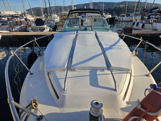 Sea Ray Sundancer 290 usata in vendita