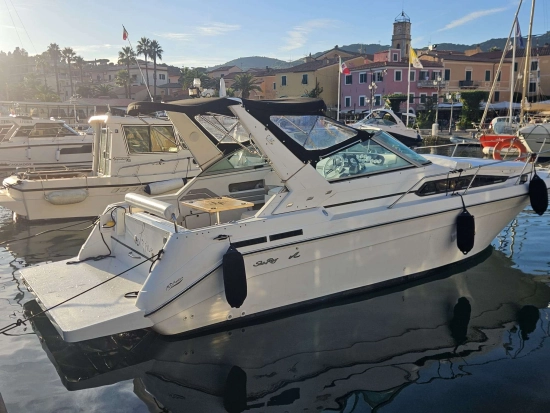 Sea Ray Sundancer 290 usata in vendita