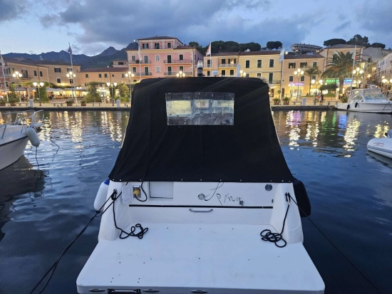 Sea Ray Sundancer 290 usata in vendita