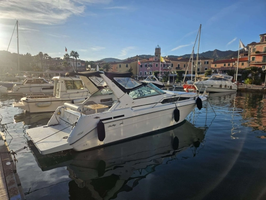Sea Ray Sundancer 290 usata in vendita