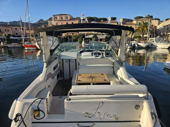 Sea Ray Sundancer 290 usata in vendita