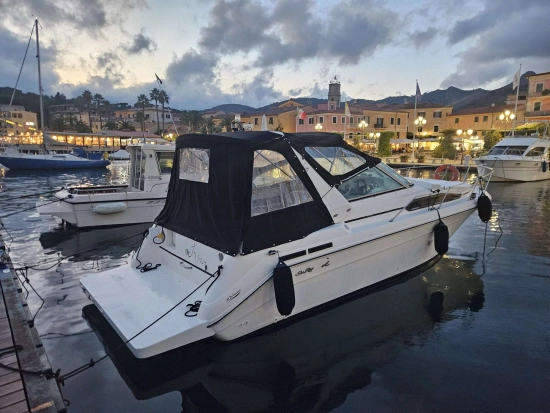 Sea Ray Sundancer 290 usata in vendita
