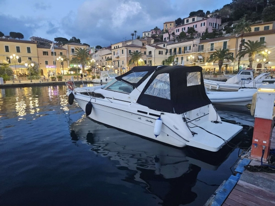 Sea Ray Sundancer 290 usata in vendita