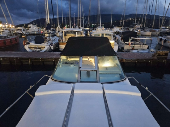 Sea Ray Sundancer 290 usata in vendita