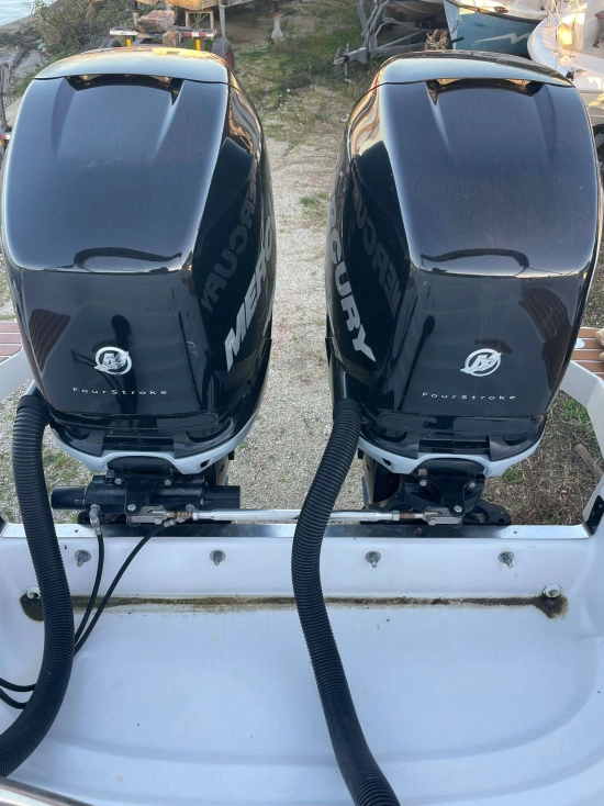 Ranieri 30 SHADOW de segunda mano en venta