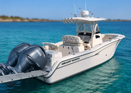 Grady White CANYON 271 de segunda mano en venta