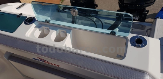 Sea Game 250 CC T Sport de segunda mano en venta