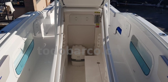 Sea Game 250 CC T Sport de segunda mano en venta