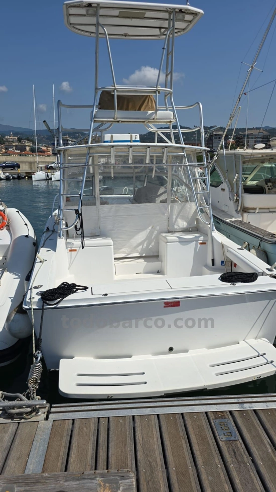 Luhrs 28 Express tuna tower de segunda mano en venta