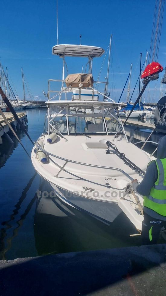 Luhrs 28 Express tuna tower de segunda mano en venta