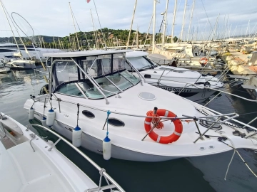 Wellcraft 270 Coastal usata in vendita