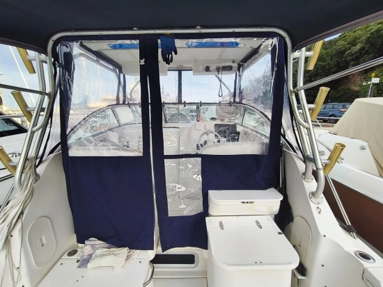 Wellcraft 270 Coastal de segunda mano en venta