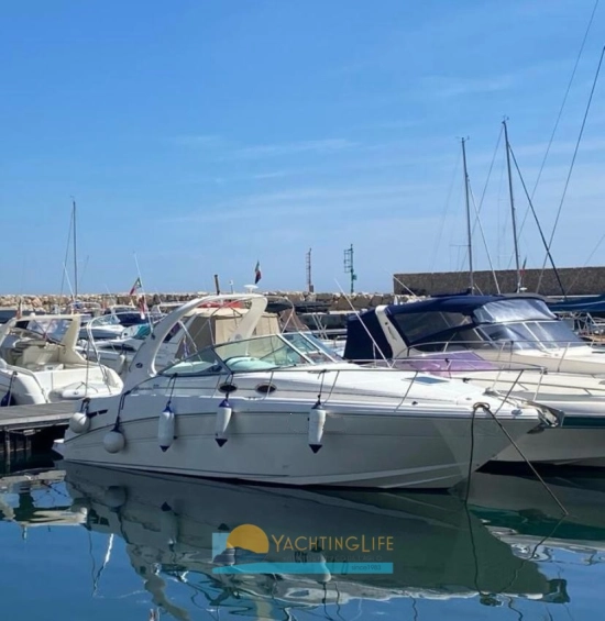 Sea Ray 335 DA usata in vendita