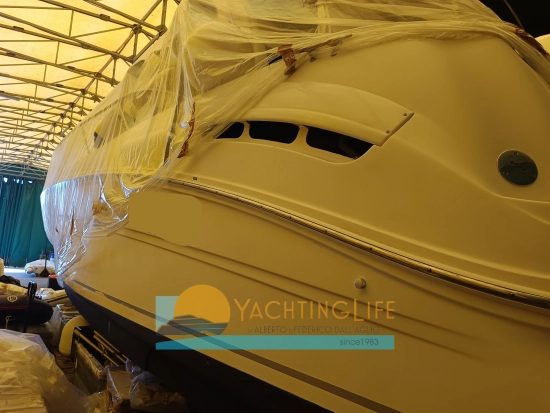 Sea Ray 335 DA usata in vendita