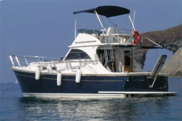 Zeta Group GOLDSTAR 360 FLY de segunda mano en venta