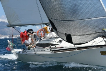 Cobra Ribs 33 usata in vendita