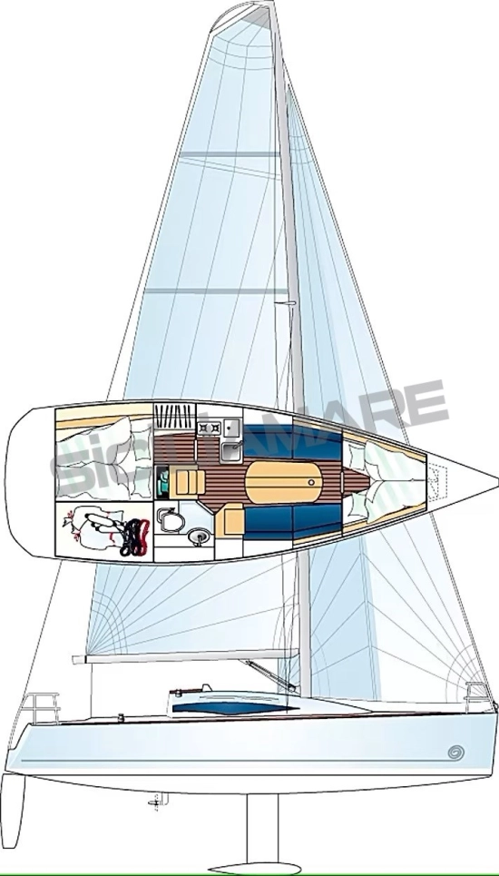 Cobra Ribs 33 usata in vendita