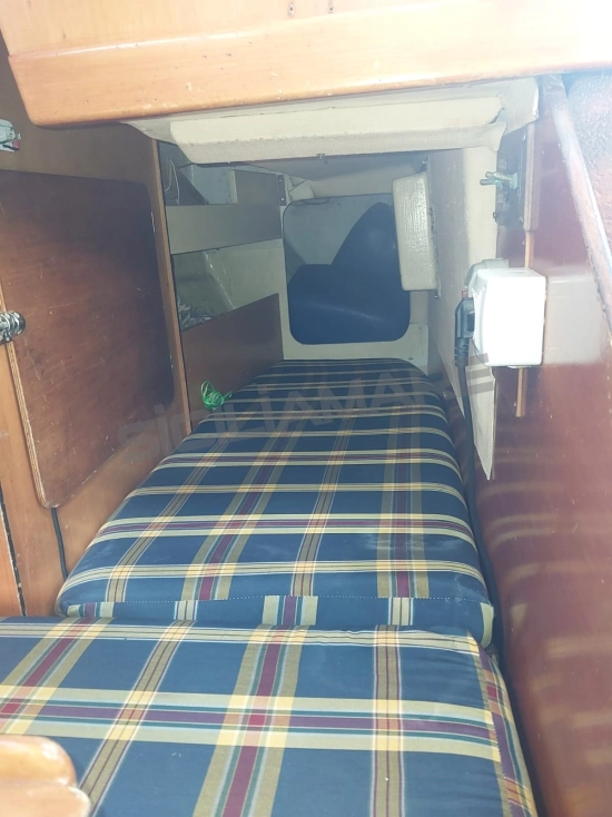 Nordcantieri PANDA 33 de segunda mano en venta