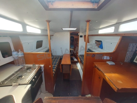 Nordcantieri PANDA 33 de segunda mano en venta