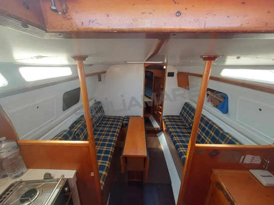 Nordcantieri PANDA 33 de segunda mano en venta