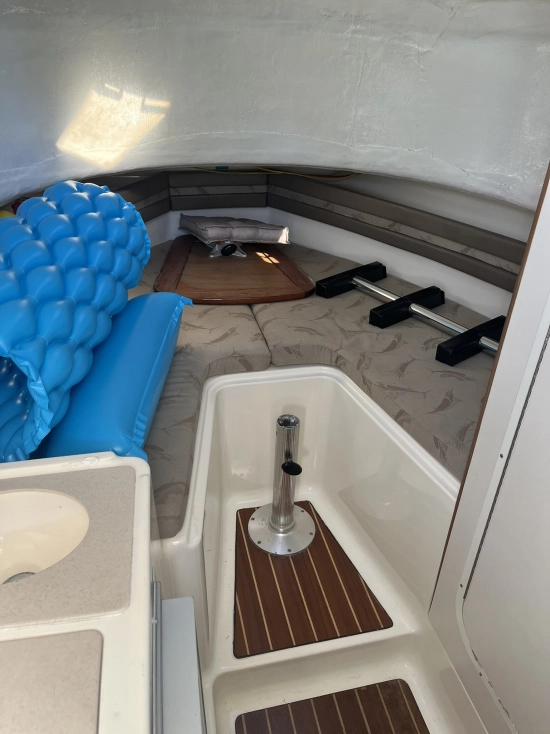 Pursuit 2870 Walkaround de segunda mano en venta