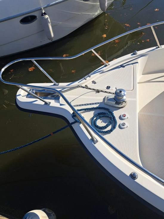 Pursuit 2870 Walkaround de segunda mano en venta