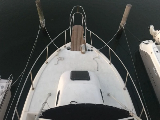 Robalo 26 Cavin Walkaround usado à venda
