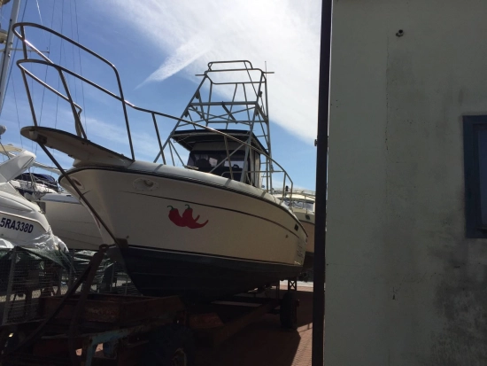 Robalo 26 Cavin Walkaround usado à venda