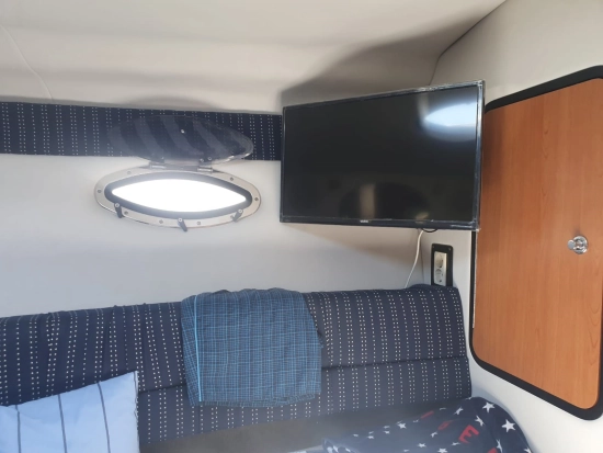 Crownline 270 CR usado à venda