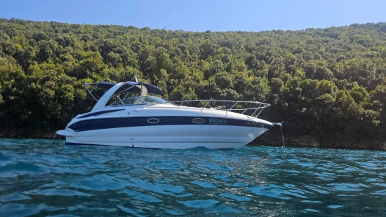 Crownline 270 CR usado à venda