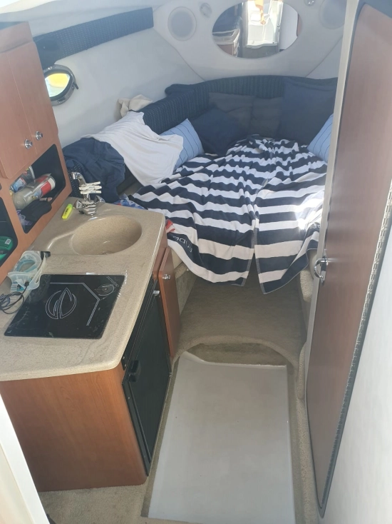 Crownline 270 CR usado à venda