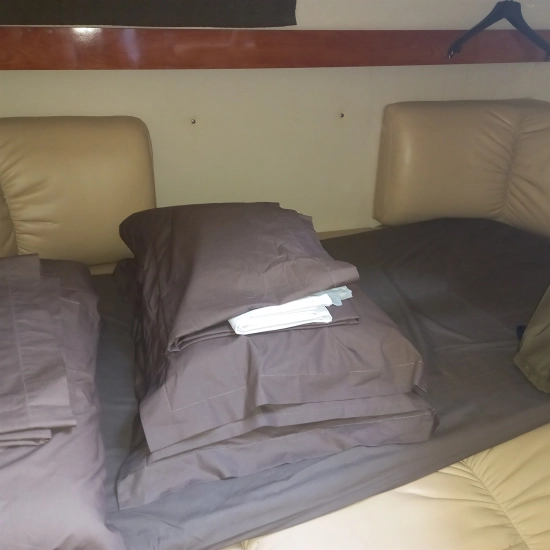 Larson 310 CABRIO usata in vendita