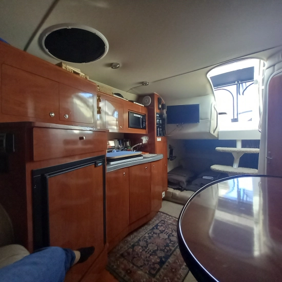 Larson 310 CABRIO usata in vendita
