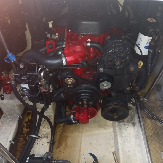 Larson 310 CABRIO usata in vendita