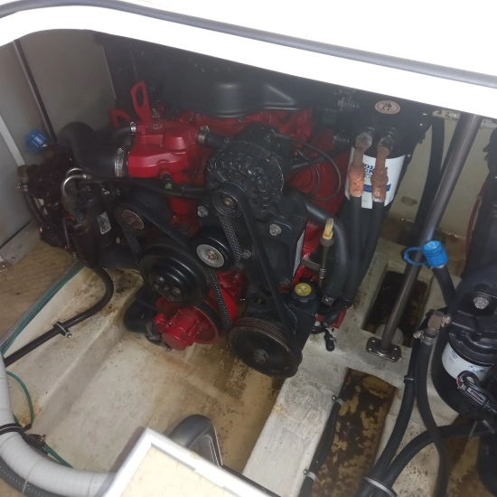 Larson 310 CABRIO usata in vendita