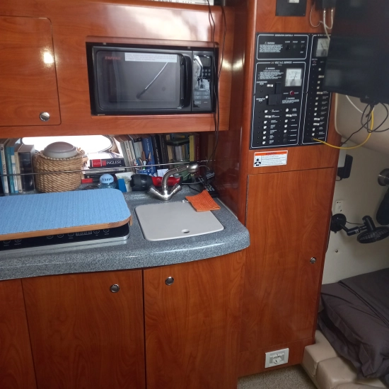 Larson 310 CABRIO usata in vendita
