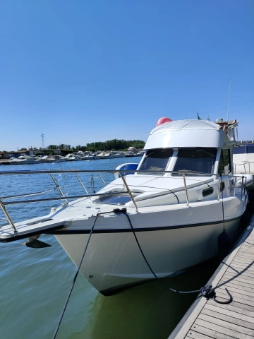 Ala Blu Proteo 30 fly usata in vendita