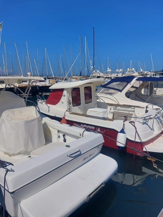 Arvor 230 AS de segunda mano en venta