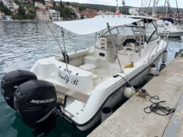 Boston Whaler 305 CONQUEST usata in vendita