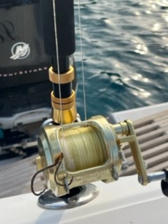 Boston Whaler 305 CONQUEST de segunda mano en venta