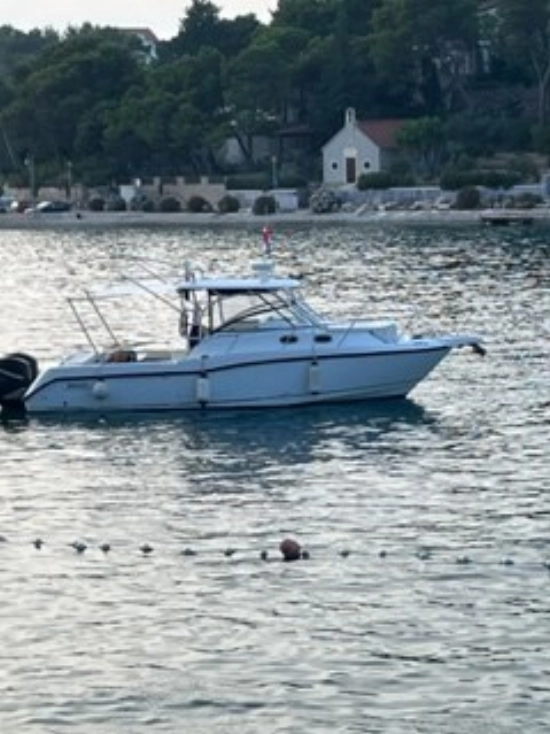 Boston Whaler 305 CONQUEST de segunda mano en venta