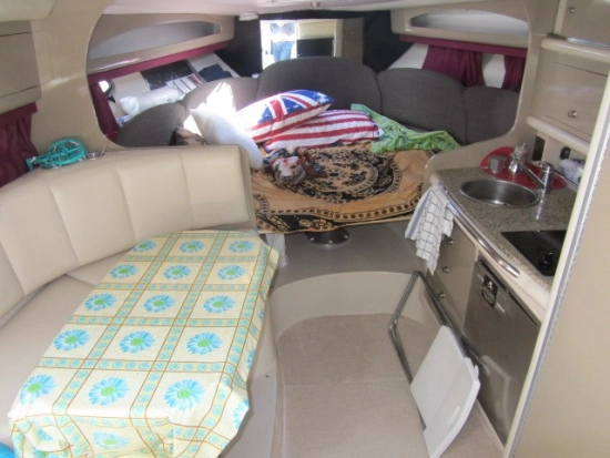 Chaparral SIGNATURE 290 usata in vendita